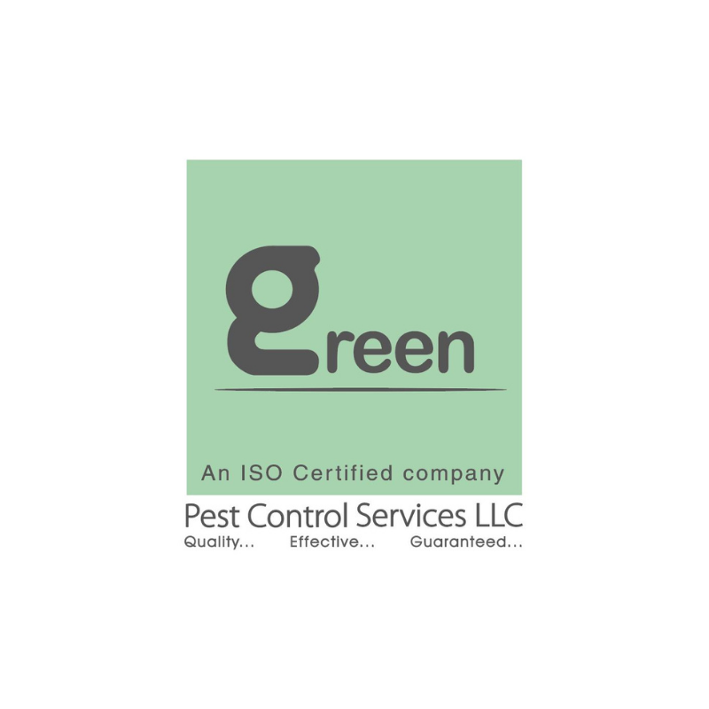Client 10